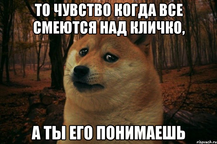 То чувство когда все смеются над кличко, а ты его понимаешь, Мем SAD DOGE