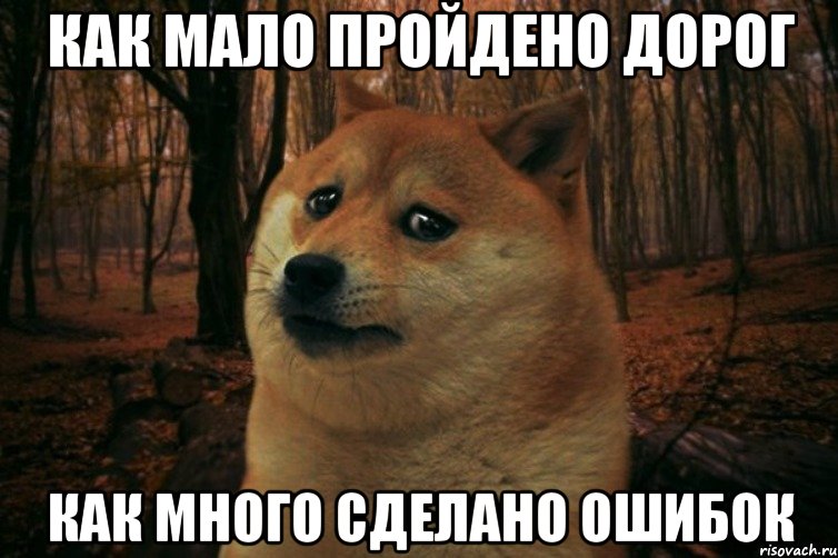 Как мало пройдено дорог Как много сделано ошибок, Мем SAD DOGE