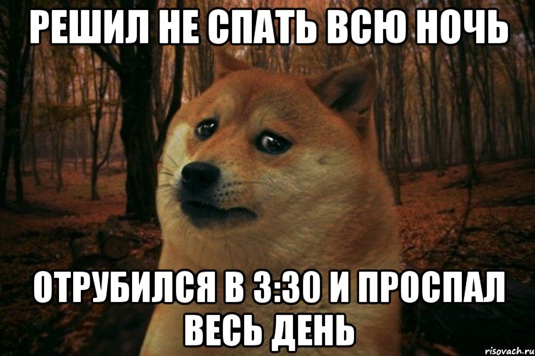 Решил не спать всю ночь отрубился в 3:30 и проспал весь день, Мем SAD DOGE