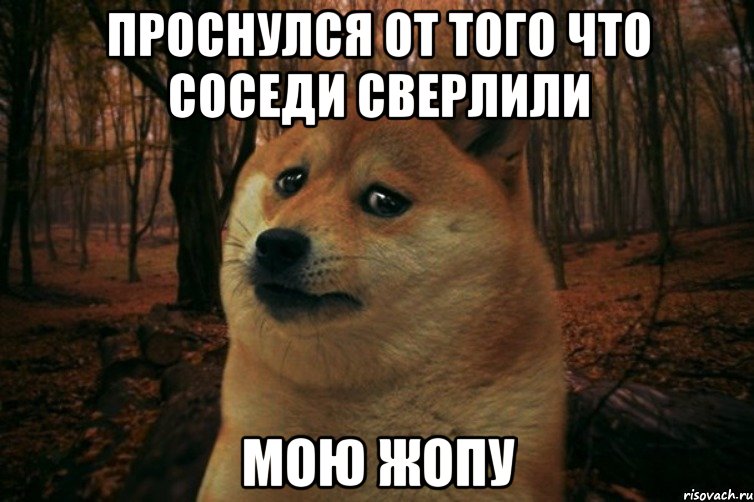 проснулся от того что соседи сверлили мою жопу, Мем SAD DOGE