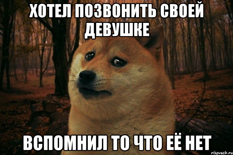 хотел позвонить своей девушке вспомнил то что её нет, Мем SAD DOGE