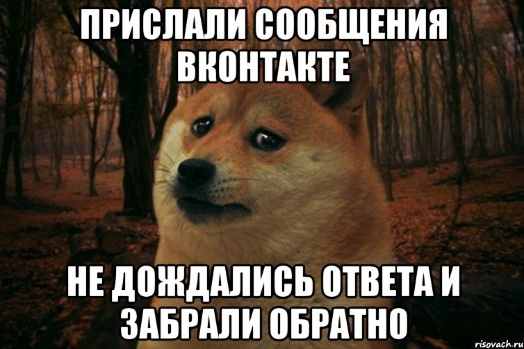 прислали сообщения вконтакте не дождались ответа и забрали обратно, Мем SAD DOGE