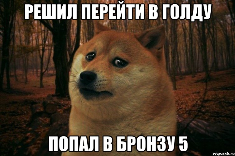 решил перейти в голду попал в бронзу 5, Мем SAD DOGE