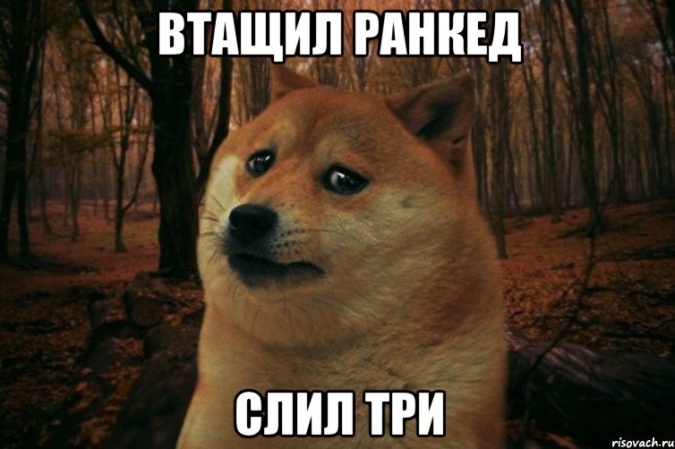 втащил ранкед слил три, Мем SAD DOGE