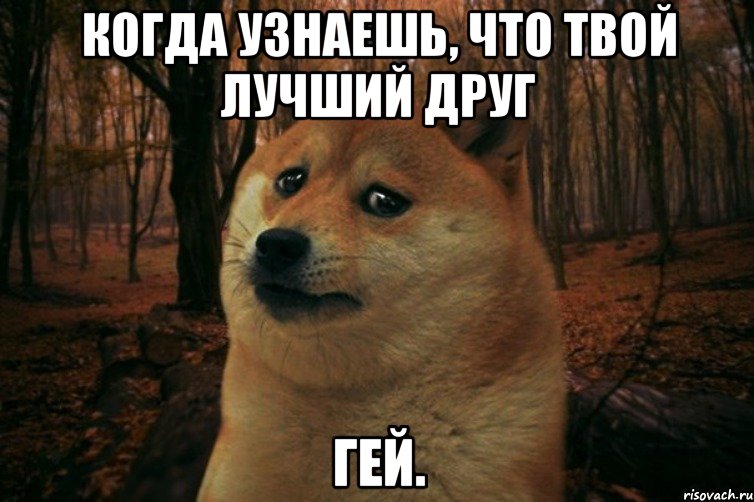 Когда узнаешь, что твой лучший друг Гей., Мем SAD DOGE