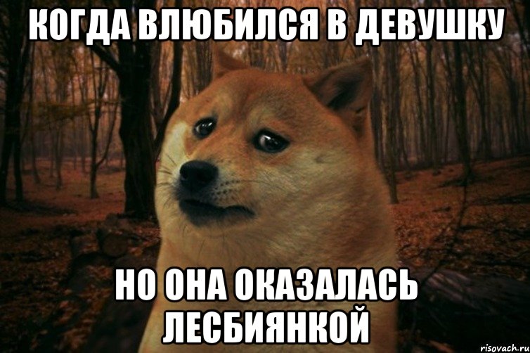 Когда влюбился в девушку но она оказалась лесбиянкой, Мем SAD DOGE