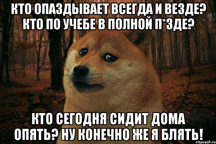 КТО ОПАЗДЫВАЕТ ВСЕГДА И ВЕЗДЕ? КТО ПО УЧЕБЕ В ПОЛНОЙ П*ЗДЕ? КТО СЕГОДНЯ СИДИТ ДОМА ОПЯТЬ? НУ КОНЕЧНО ЖЕ Я БЛЯТЬ!, Мем SAD DOGE