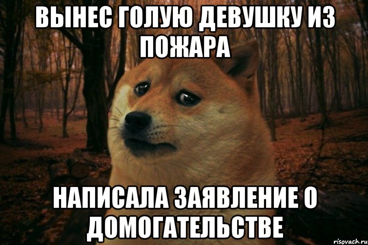 вынес голую девушку из пожара написала заявление о домогательстве, Мем SAD DOGE