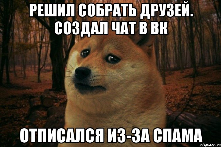 Решил собрать друзей. Создал чат в вк Отписался из-за спама, Мем SAD DOGE