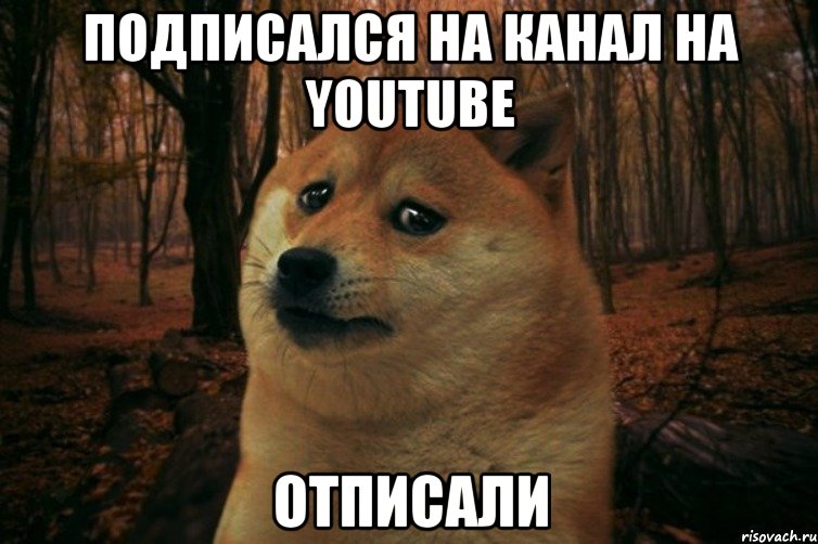 подписался на канал на YouTube отписали, Мем SAD DOGE