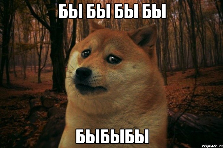 бы Бы бЫ БЫ БЫБЫБЫ, Мем SAD DOGE