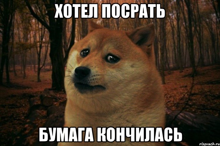 хотел посрать бумага кончилась, Мем SAD DOGE