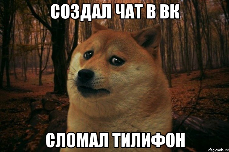 создал чат в вк сломал тилифон, Мем SAD DOGE