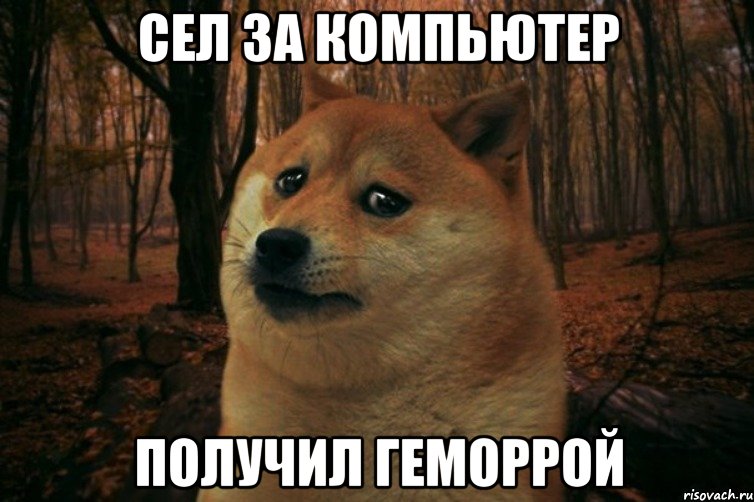 Сел за компьютер получил геморрой, Мем SAD DOGE