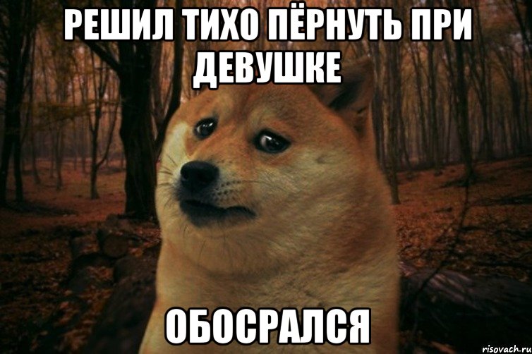 решил тихо пёрнуть при девушке обосрался, Мем SAD DOGE