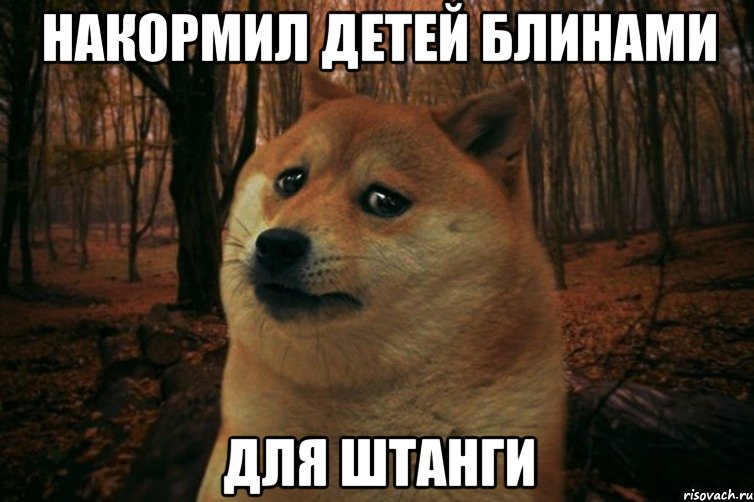 накормил детей блинами для штанги, Мем SAD DOGE