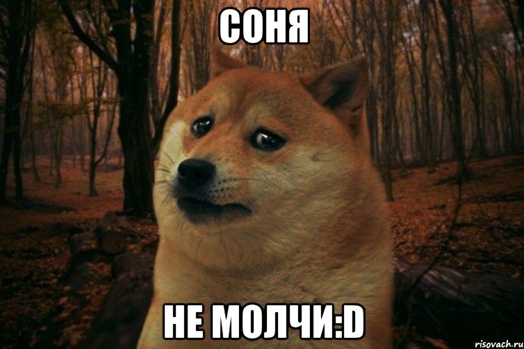 Соня Не молчи:D, Мем SAD DOGE