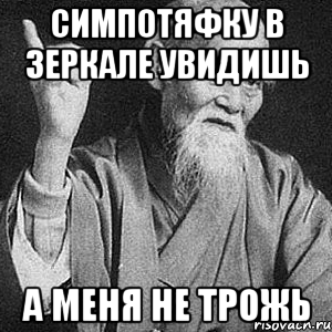 симпотяфку в зеркале увидишь а меня не трожь, Мем Монах-мудрец (сэнсей)