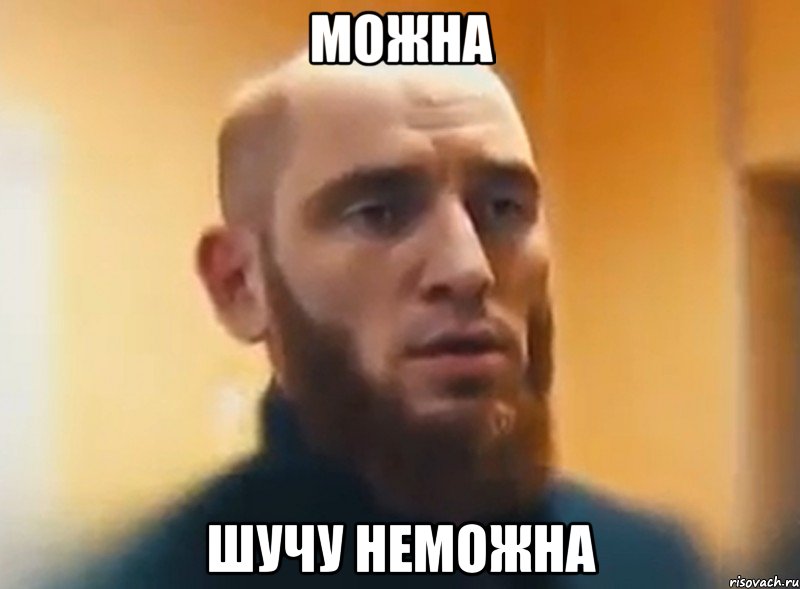 можна шучу неможна, Мем Шучу