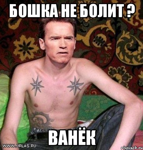 бошка не болит ? ванёк