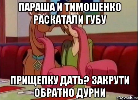 Параша и тимошенко раскатали губу Прищепку дать? Закрути обратно дурни, Мем Скуби ду