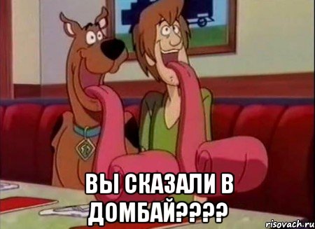  вы сказали в домбай????