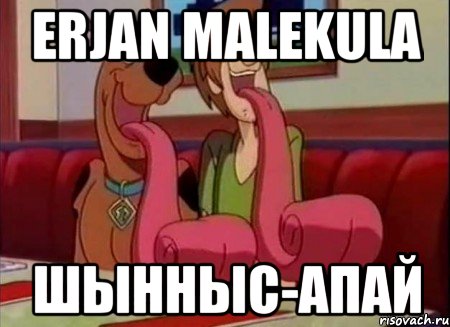 Erjan malekula Шынныс-апай