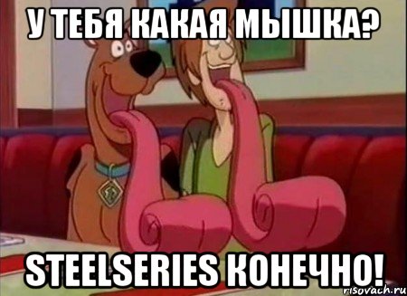 У тебя какая мышка? SteelSeries конечно!