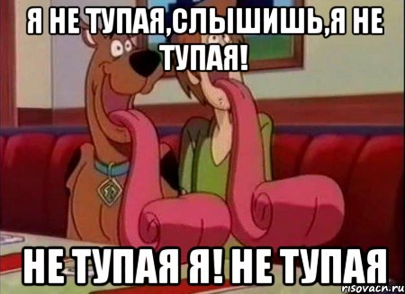 Я не тупая,слышишь,я НЕ ТУПАЯ! НЕ ТУПАЯ Я! НЕ ТУПАЯ