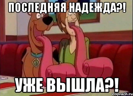 Последняя надежда?! Уже вышла?!, Мем Скуби ду