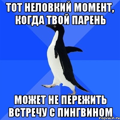 Тот неловкий момент, когда твой парень может не пережить встречу с пингвином, Мем  Социально-неуклюжий пингвин