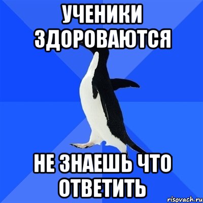 Ученики здороваются Не знаешь что ответить, Мем  Социально-неуклюжий пингвин