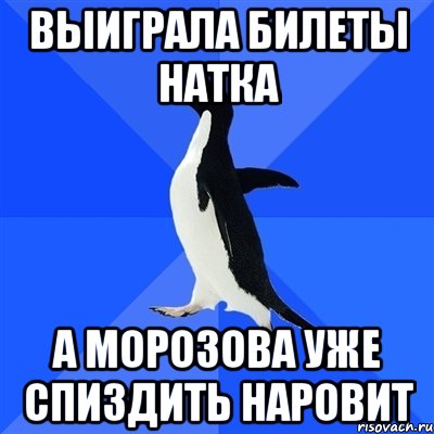 выиграла билеты Натка А Морозова уже спиздить наровит, Мем  Социально-неуклюжий пингвин