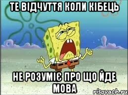 Те відчуття коли Кібець Не розуміє про що йде мова, Мем Спанч Боб плачет