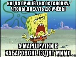 Когда пришёл на остановку, чтобы доехать до учёбы А маршрутки в Хабаровске ездят мимо, Мем Спанч Боб плачет