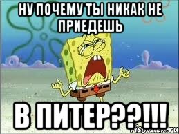 Ну почему ты никак не приедешь в Питер??!!!, Мем Спанч Боб плачет