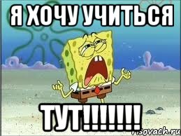 Я ХОЧУ УЧИТЬСЯ ТУТ!!!!!!!, Мем Спанч Боб плачет