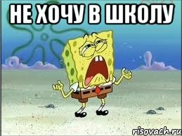 не хочу в школу , Мем Спанч Боб плачет