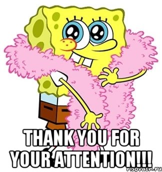  THANK YOU FOR YOUR ATTENTION!!!