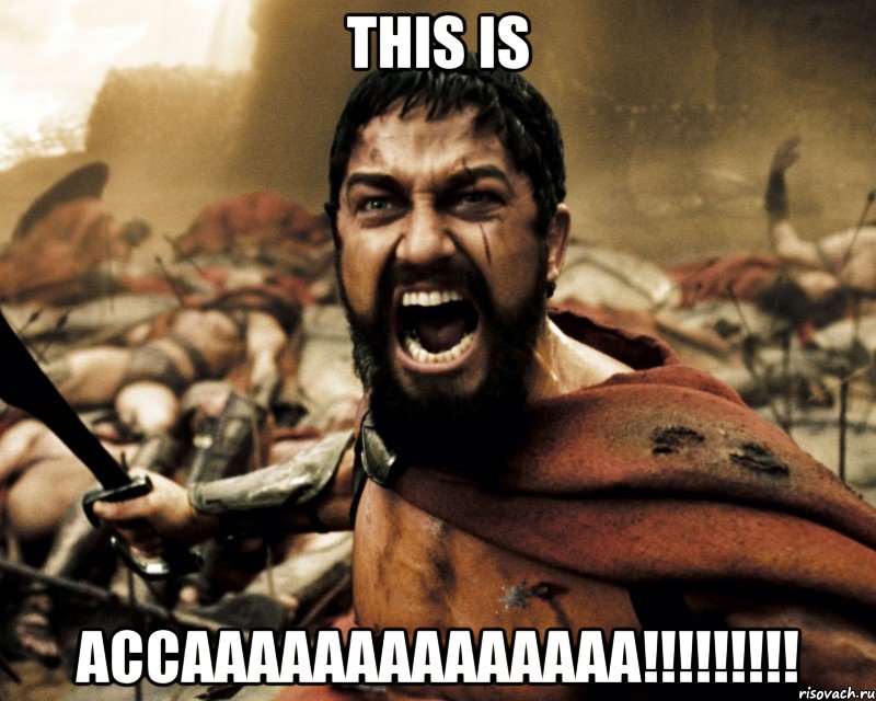 This is ACCAAAAAAAAAAAAAA!!!!!!!!!