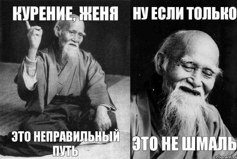 Курение, Женя Это Неправильный путь Ну если только это не Шмаль, Комикс Мудрец-монах (4 зоны)