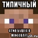 Типичный Стив Бушес в Minecraft, Мем стив