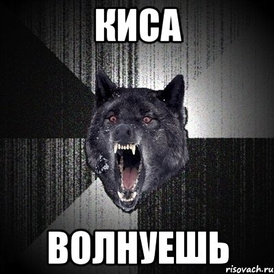 киса волнуешь, Мем Сумасшедший волк