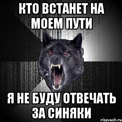 Кто встанет на моем пути Я не буду отвечать за синяки, Мем Сумасшедший волк