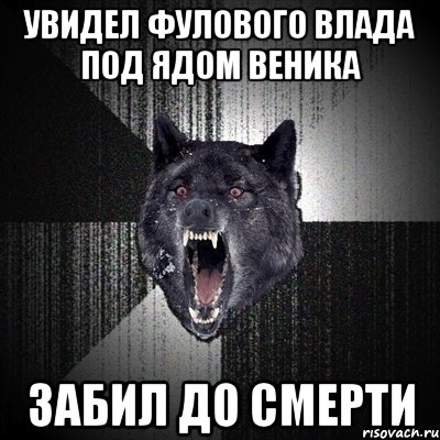 Увидел фулового влада под ядом веника Забил до смерти, Мем Сумасшедший волк