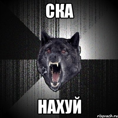 ска Нахуй, Мем Сумасшедший волк