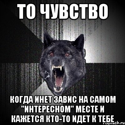 ТО ЧУВСТВО КОГДА ИНЕТ ЗАВИС НА САМОМ "ИНТЕРЕСНОМ" МЕСТЕ И КАЖЕТСЯ КТО-ТО ИДЕТ К ТЕБЕ, Мем Сумасшедший волк