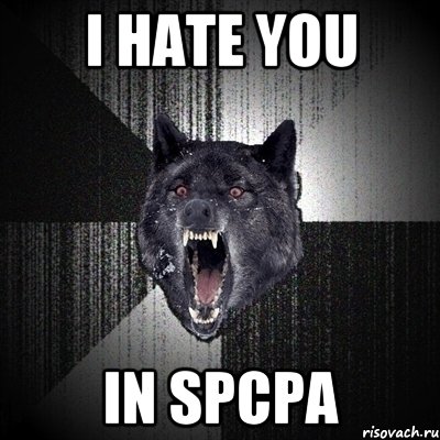 I HATE YOU in spcpa, Мем Сумасшедший волк