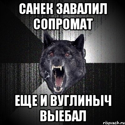 Санек завалил сопромат Еще и Вуглиныч выебал, Мем Сумасшедший волк