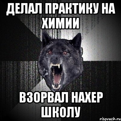 ДЕЛАЛ ПРАКТИКУ НА ХИМИИ ВЗОРВАЛ НАХЕР ШКОЛУ, Мем Сумасшедший волк